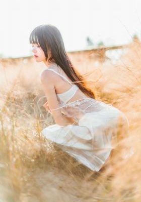电视剧麻雀免费全集播放