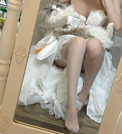 花房姑娘电视剧免费播放在线观看