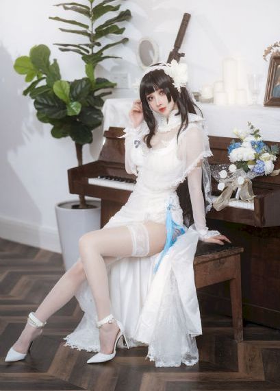 苗侨伟电视剧全部