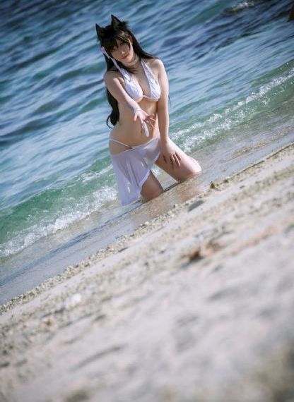 狃花女电视剧全集观看