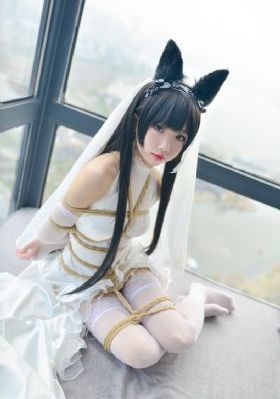 2024最火电视剧免费观看