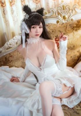 2046国语免费观看